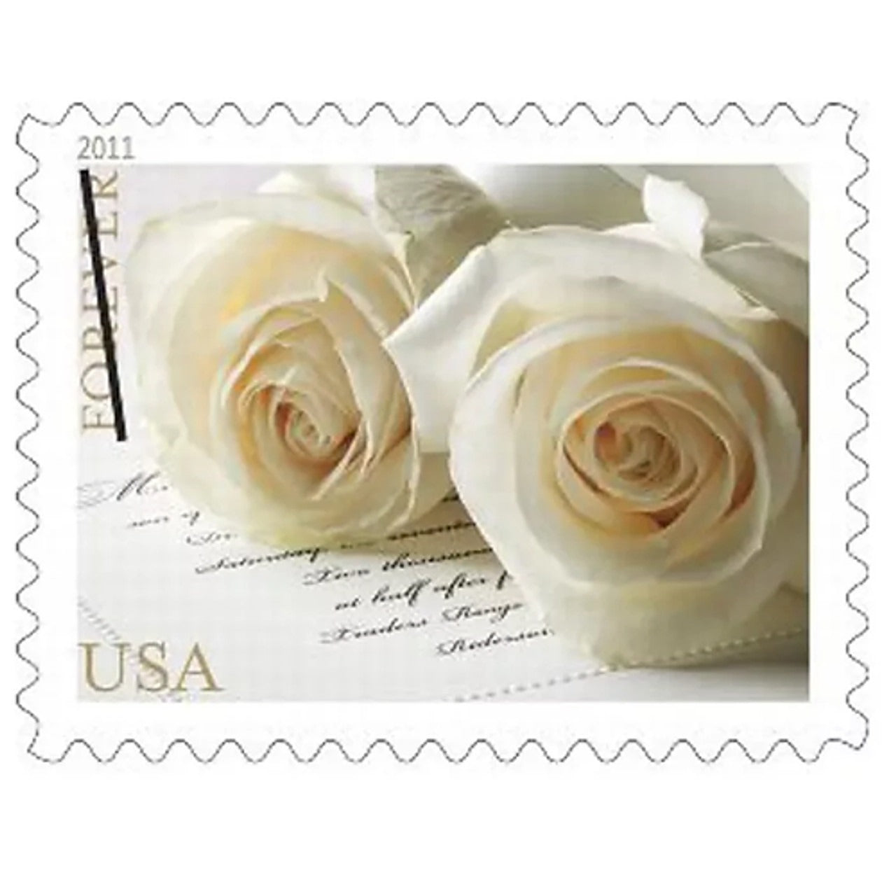 2011 Wedding Rose Forever First Class Postage Stamps - Stamps Co Online